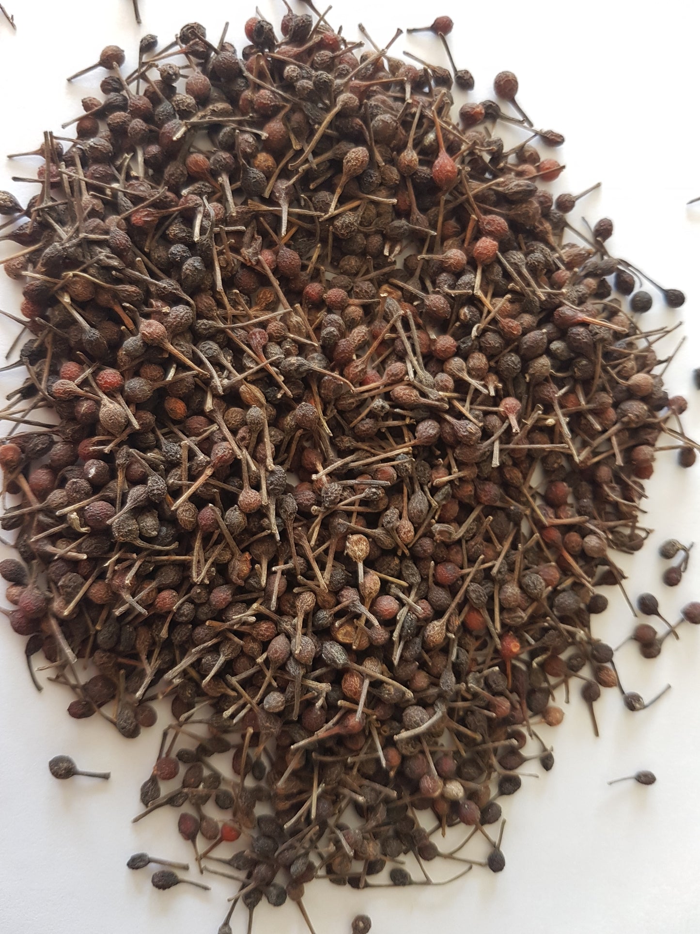 Poivre sauvage de Madagascar en bocal 100g